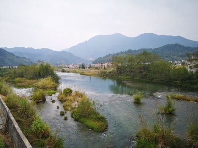 白天湖边绿草绿树